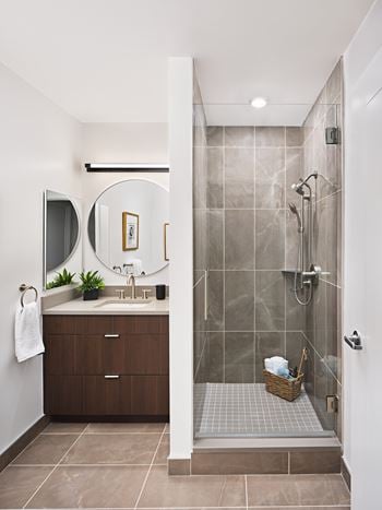Sleek eurostyle glass shower doors